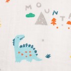 Пелёнка муслиновая Крошка Я «Дино» 120х110 см, двухслойная, 70% бамбук, 30% хлопок - фото 119114692