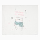 Пелёнка муслиновая Крошка Я «Зима» 120×110 см, двухслойная, 70% бамбук, 30% хлопок - Фото 7