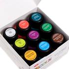 Краска акриловая, набор 9 цветов х 20 мл, Matt, ЗХК Decola "Тропики", матовая, 143411884 - фото 25414116