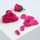 Подарочный набор «Совершенства во всем»: парфюм шампанское (100 мл), мыльные лепестки (розы) - фото 24448208