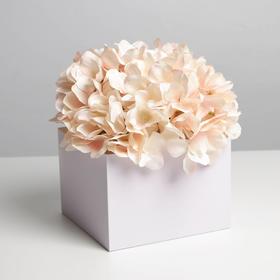 Коробка для цветов с PVC крышкой, сиреневая, 17 х 17 х 12 см