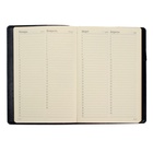 Ежедневник полудатированный А5, 208 листов Profy, рециклированная кожа, сменный блок, золотой срез, чёрный - Фото 8