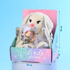 Мягкая игрушка «Ангельская Li», заяц, 25 см - Фото 2