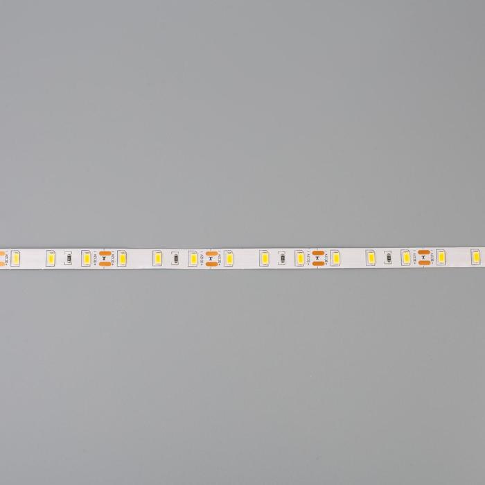 Светодиодная лента Ecola PRO 5 м, IP20, SMD2550, 60 LED/м, 19 Вт/м, 12 В, 4200К - фото 1905857843
