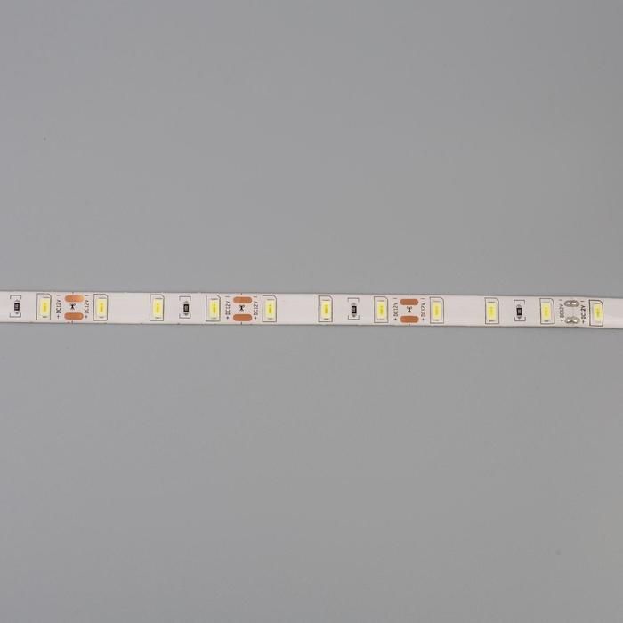 Cветодиодная лента Ecola PRO 5 м, IP65, SMD2550, 60 LED/м, 19 Вт/м, 12 В, 6000К - фото 1883758179