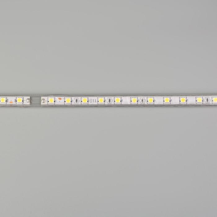 Светодиодная лента Ecola STD 14 × 7 мм, 50 м, IP68, SMD5050, 60 LED/м, 14.4 Вт/м, 220 В, 6000К - фото 1926283298