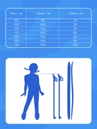 Комплект лыжный подростковый: лыжи 90 см, палки 80 см, цвета МИКС - Фото 5