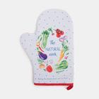 Набор кухонный «Натур продукт»: варежка-прихватка 20х28 см, прихватка 17х17 см, 35% х/л, 65% п/э 6959808