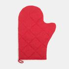 Набор кухонный «Натур продукт»: варежка-прихватка 20х28 см, прихватка 17х17 см, 35% х/л, 65% п/э 6959808