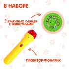 Проектор-фонарик «Команда Мяу: Изучаем животных» - Фото 2