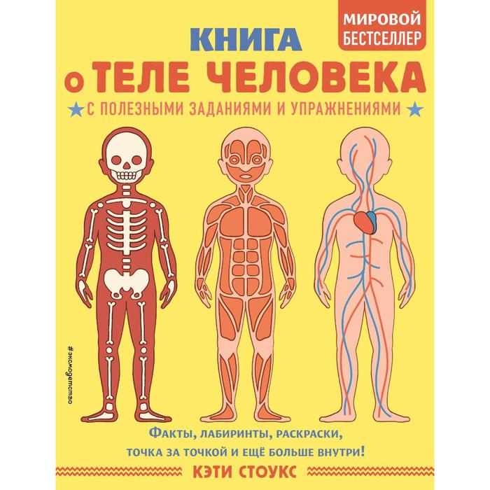 

Книга о теле человека с полезными заданиями и упражнениями. Кэти Стоукс