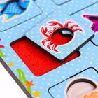 Вкладыш « Животный мир» - фото 804616635 Вкладыш « Животный мир» - фото 804616635