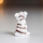 Сувенир полистоун "Белый тигрёнок" МИКС 2х1,8х1,8 см - Фото 5