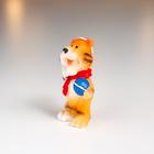 Сувенир полистоун "Тигруша в шарфик с подарком" МИКС 5х2,5х2,5 см - фото 30897881