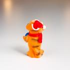 Сувенир полистоун "Тигруша в шарфик с подарком" МИКС 5х2,5х2,5 см - фото 30897883