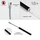 Зажигалка электронная, дуговая, с индикатором заряда, USB - Фото 1