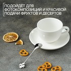 Ложка десертная из нержавеющей стали Magistro «Клевер», длина 12.5 см, цвет серебряный - Фото 4