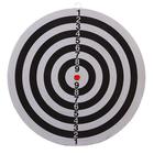 Дартс 12" (30 см) подарочный в коробке - Фото 2