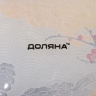 Набор для суши из стекла Доляна «Абстракция», 3 предмета: соусники 8×2 см, 8×6 см, подставка 25×15×2 см - фото 4335086