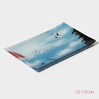 Набор для суши из стекла Доляна «Журавль», 3 предмета: соусники 8×2 см, 8×6 см, подставка 25×15×2 см - фото 4335091