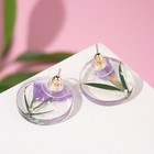 Серьги ассорти «Лето» цветы в диске, цвет фиолетово-зелёный - фото 30305570