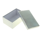 Набор коробок 10 в 1 "Питон", цвет серебро, 32,5 х 20 х 12,5 - 14 х 8 х 4,5 см - Фото 2