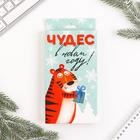 Подарочный набор Планинг, ручка пластик и мыло-шоколад «Чудес в новом году» - фото 46547038