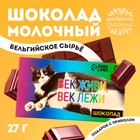 Подарочный шоколад «Век живи, век лежи», 27 г. - Фото 1