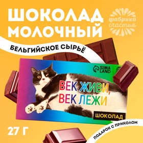 Подарочный шоколад «Век живи, век лежи», 27 г.