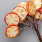 Декоративный букетик "Рукоделие" Апельсиновые дольки в сахаре - Фото 3