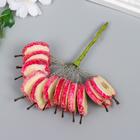 Декоративный букетик "Рукоделие" Яблочные дольки в сахаре - Фото 2