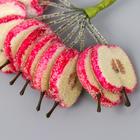 Декоративный букетик "Рукоделие" Яблочные дольки в сахаре - Фото 3