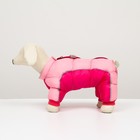 Комбинезон с замком на спине, размер 8 (ДС 23 см, ОГ 30, ОШ 22 см), розовый 6968218