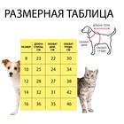 Комбинезон принтованный с замком на спине, размер 10 (ДС 25 см, ОГ 34 см, ОШ 24 см), синий 6968225 - фото 13904080