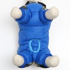 Комбинезон принтованный с замком на спине, размер 14 (ДС 27, ОГ 38, ОШ 30 см), синий - Фото 5