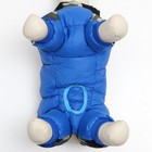 Комбинезон принтованный с замком на спине, размер 16 (ДС 28, ОГ 40, ОШ 34 см), синий - Фото 5