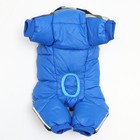 Комбинезон принтованный с замком на спине, размер 18 (ДС 31, ОГ 46, ОШ 38 см), синий - Фото 7