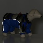 Комбинезон принтованный с замком на спине, размер 18 (ДС 31, ОГ 46, ОШ 38 см), синий - Фото 9