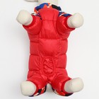 Комбинезон принтованный с замком на спине, размер 14 (ДС 27, ОГ 38, ОШ 30 см), красный - Фото 6