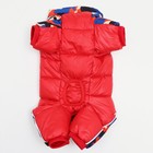 Комбинезон принтованный с замком на спине, размер 14 (ДС 27, ОГ 38, ОШ 30 см), красный - Фото 8