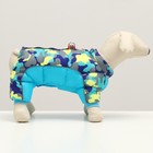 Комбинезон принтованный, размер 14, ДС 27, ОГ 38, ОШ 30 см, с замком на спине, голубой - Фото 2