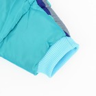 Комбинезон принтованный, размер 16, ДС 28, ОГ 40, ОШ 34 см, с замком на спине, голубой - Фото 10