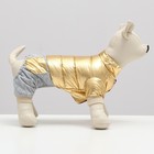 Комбинезон "Космонавт", размер 18 (ДС 40 см, ОГ 50 см, ОШ 38 см), золотой - фото 27225877