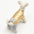 Комбинезон "Космонавт", размер 18 (ДС 40 см, ОГ 50 см, ОШ 38 см), золотой - фото 27225878