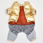 Комбинезон "Космонавт", размер 18 (ДС 40 см, ОГ 50 см, ОШ 38 см), золотой - фото 27225881