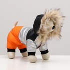 Комбинезон «Пушок», размер 8 (ДС 23 см, ОГ 30, ОШ 22 см), коралловый - Фото 2