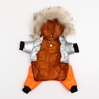 Комбинезон «Пушок», размер 8 (ДС 23 см, ОГ 30, ОШ 22 см), коралловый - Фото 7