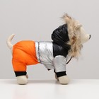 Комбинезон "Пушок", размер 10 (ДС 25 см, ОГ 34 см, ОШ 24 см), коралловый - Фото 3