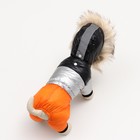 Комбинезон "Пушок", размер 10 (ДС 25 см, ОГ 34 см, ОШ 24 см), коралловый - Фото 4