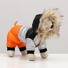 Комбинезон «Пушок», размер 12, ДС 28 см, ОГ 38 см, ОШ 27 см, коралловый - Фото 2